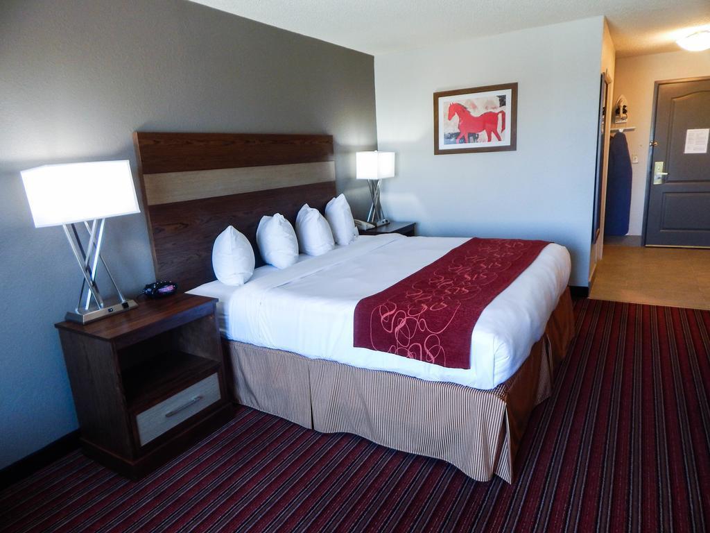 Country Inn & Suites By Radisson, Dfw Airport South, Tx ايرفينغ المظهر الخارجي الصورة